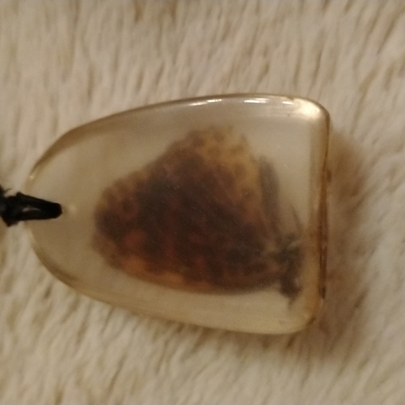 🦋Real butterfly necklace in Lucite 🦋 - Picture 3 of 5